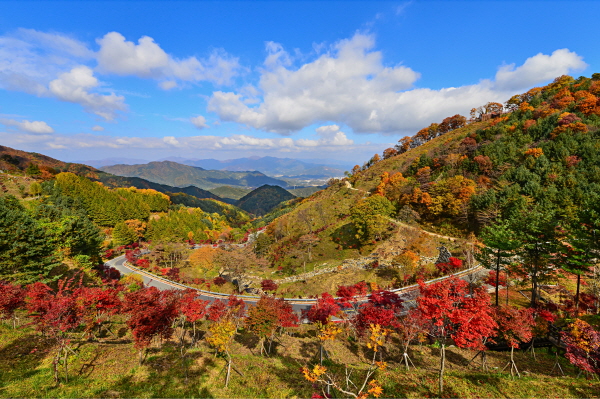 1994182814_M73rqzlN_1b4486cb4c12befcfa9a