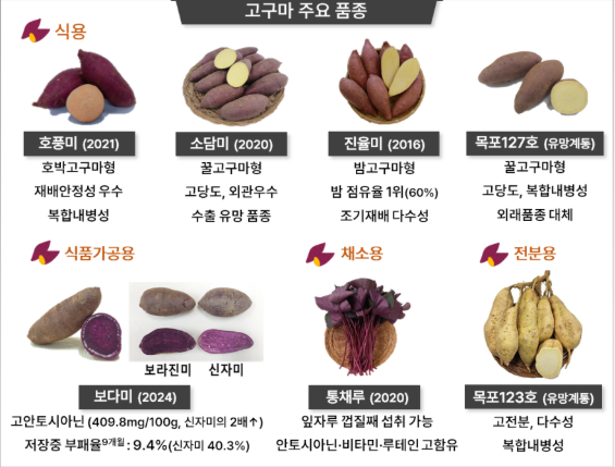 1994182814_ia3XtSLj_70659cf5314d4c66a9b3