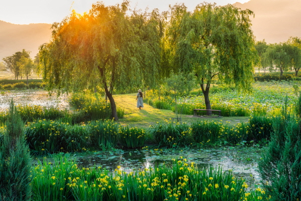 1994182814_bHm6rL3j_200092bb7d2893518092