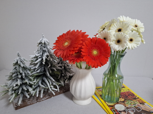 1994182814_sZ70tTS3_3e8bf72d91a652dc1609