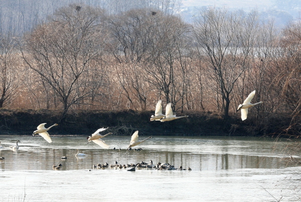 1994182814_wlqILjQh_064905b285478d30e55e