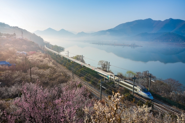 1994182814_41lJhPV7_e2109c8f494898f66fc6