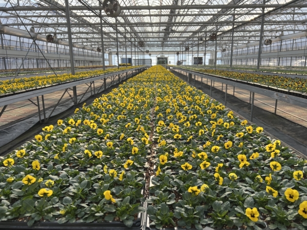 1994182814_57EbAk3h_870d312a39881dd197ad