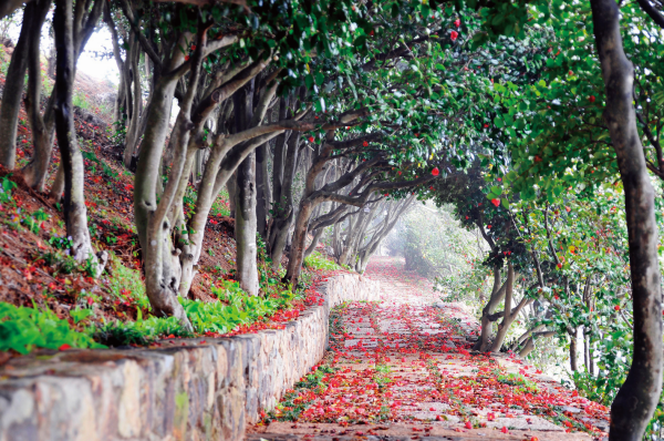 1994182814_BHiwA9ec_0bd72996415b94a6201a