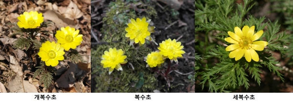 1994182814_FgUk6RtZ_be9292d32fe95713716f