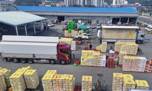 1994182814_J26mKqBi_ba7e3cb2d10d594e1065