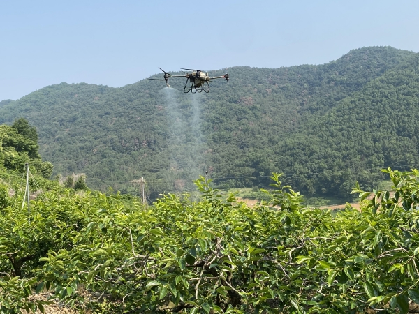 1994182814_spD1eUgt_20c21a1cd3fd98202526