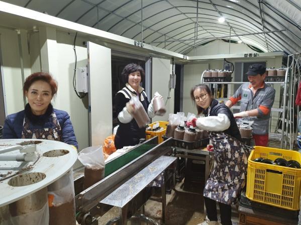 1994182814_wzabHrS6_7a97bc03ab3cf4e69c3d