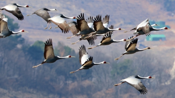 1994182814_ygapwxqS_17d1e38c93b72c83ca82