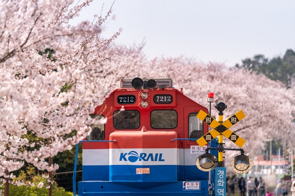 1994182814_FD5rxEq4_8d95bae04e8445f86b1b