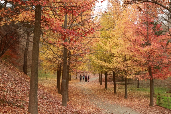 1994182814_JSmw6xTE_a91ba9b75fdb22d4648d