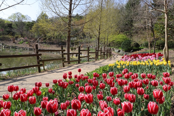 1994182814_d7cG5LQr_000edece22d82cc88108