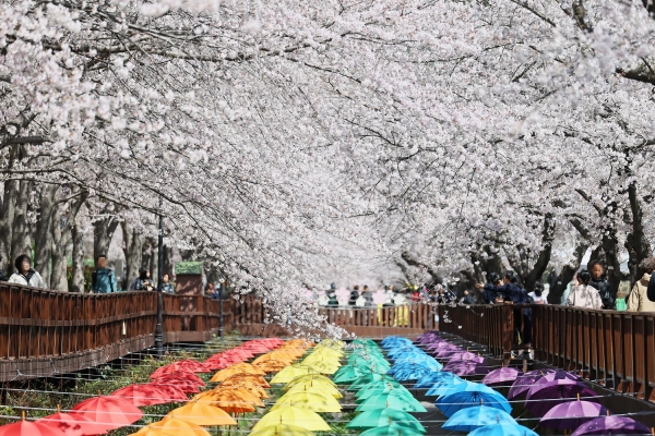 1994182814_BzqTkEHm_c408ed0c101be5c59db8