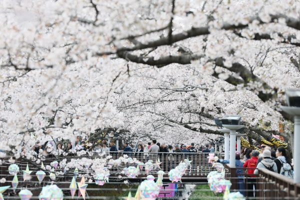 1994182814_Hea3nMJT_047dd61de20b671f85ca