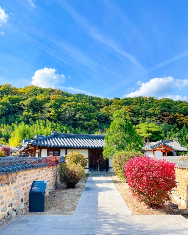 1994182814_Qf3gtejM_884911c60f37b07c0e88