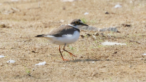 1994182814_aLWXtg5T_d259cfb2c6e0e40de95e