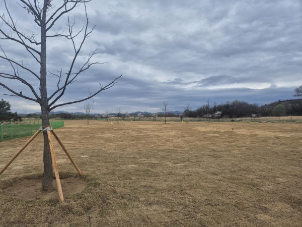 1994182814_f7YigUl9_2d8997ff0d3bfdde3885