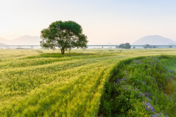 1994182814_ukAzFWfH_0c9ec2c5683bff3a2b6a